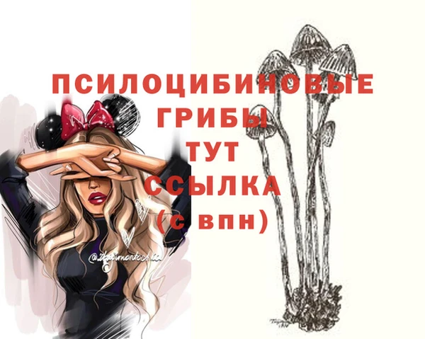 Альфа ПВП Заводоуковск