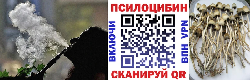 Псилоцибиновые грибы Cubensis  Купить закладки  Нытва 